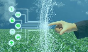 Artificial Intelligence A Tool for Waste Reduction and Recycling Enhancement